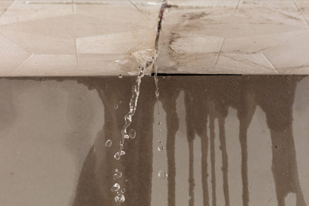 Professional Water Damage Restoration technician working in East Northport, NY